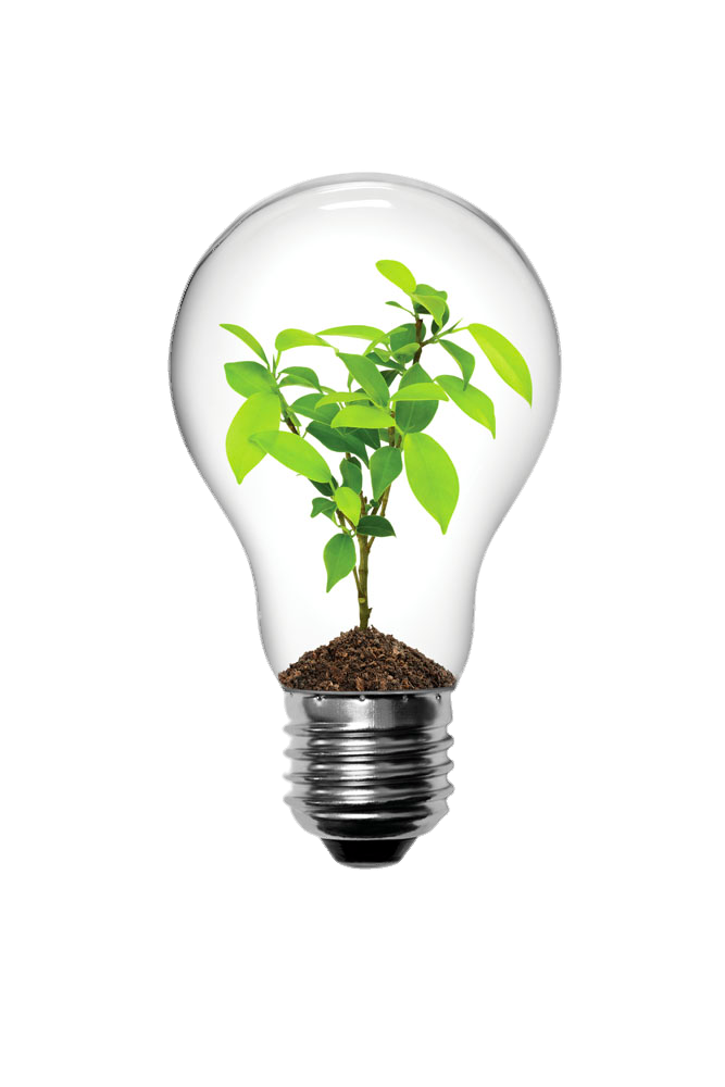 lamp